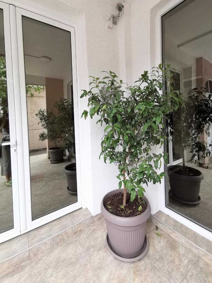 Hotel Suzana Budva Dış mekan fotoğraf
