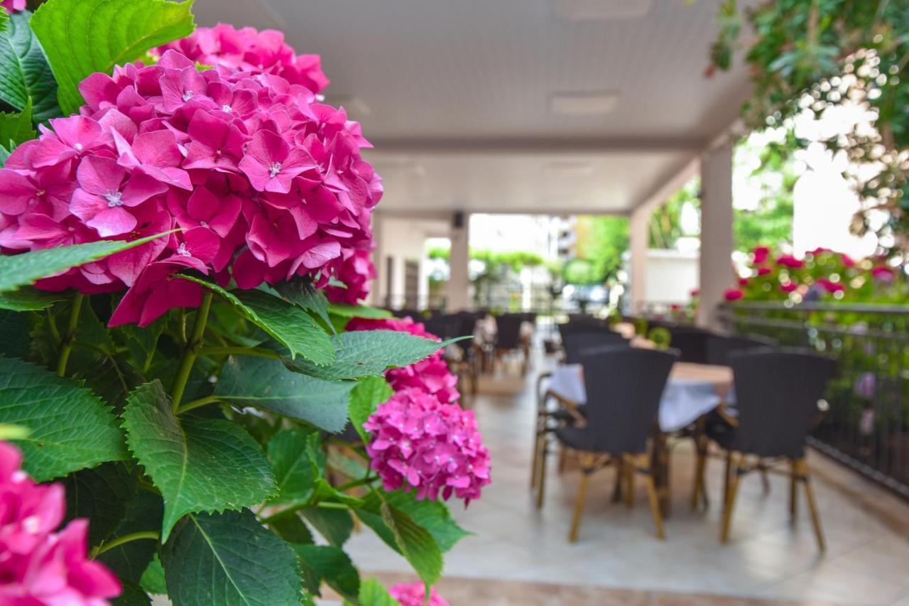 Hotel Suzana Budva Dış mekan fotoğraf